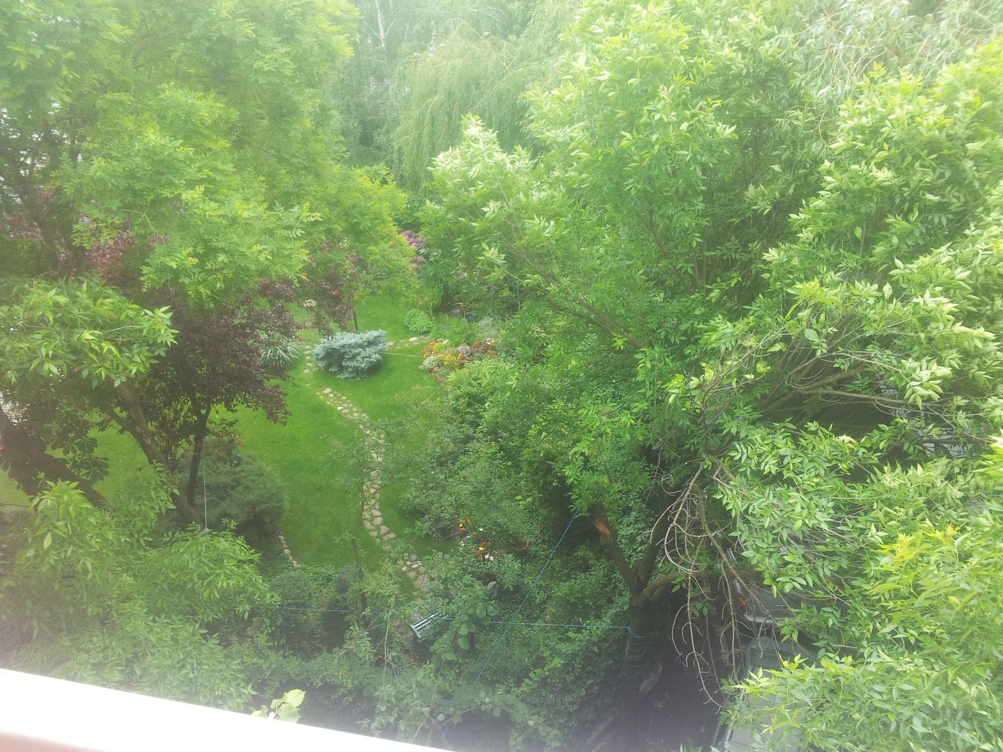 Birouri | 5 camere de închiriat | Zona Herastrau