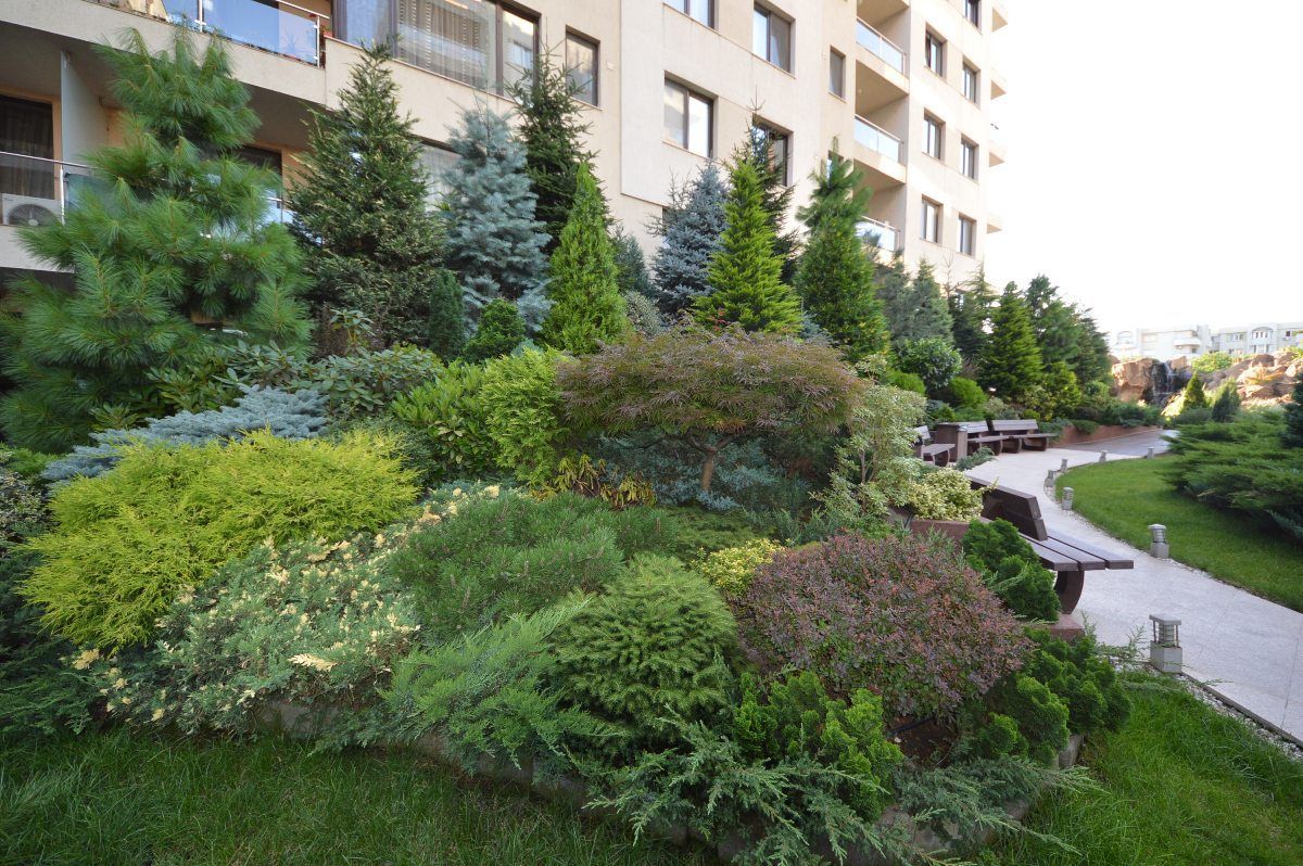 North Area Lake View | 2 camere spațioase cu vedere la grădina